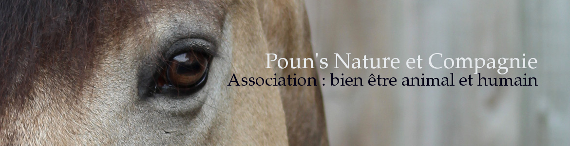 Poun's Nature et Compagnie